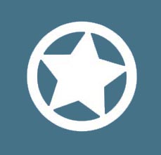 LUELLA YORK FAST AND SECURE ICON